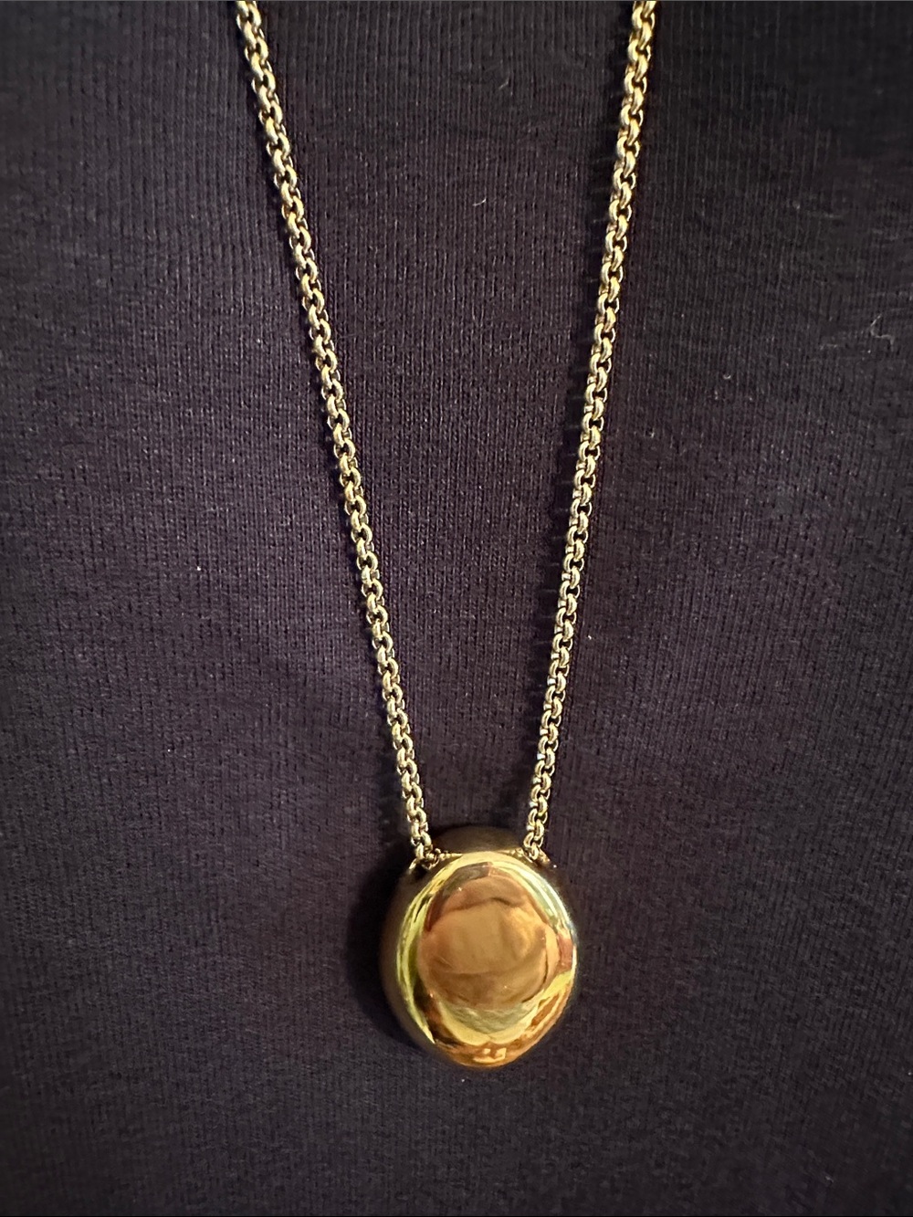 Gold Oval Pendant Long Sweater Chain Necklace